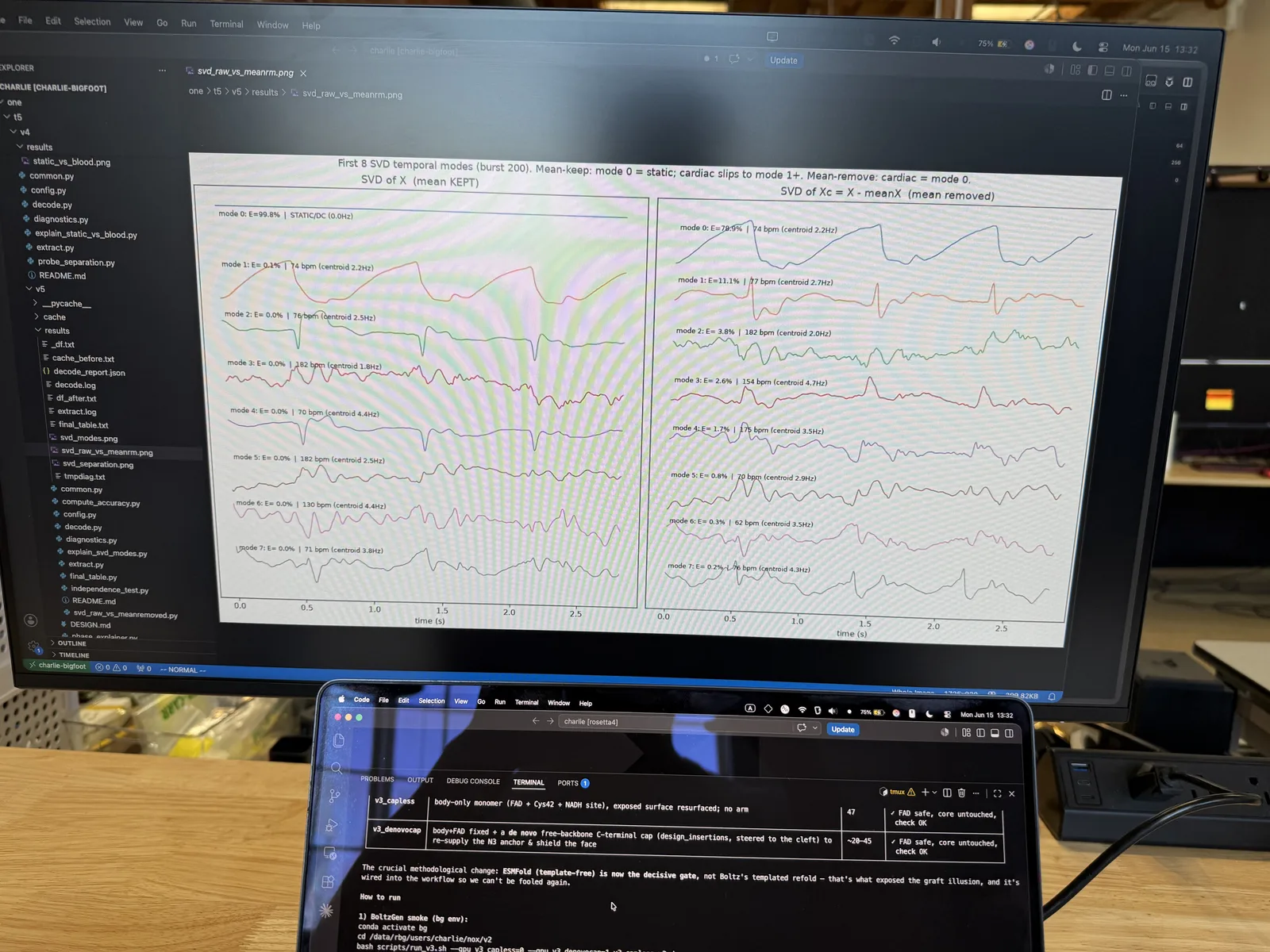 magical how first components of SVD look like HR