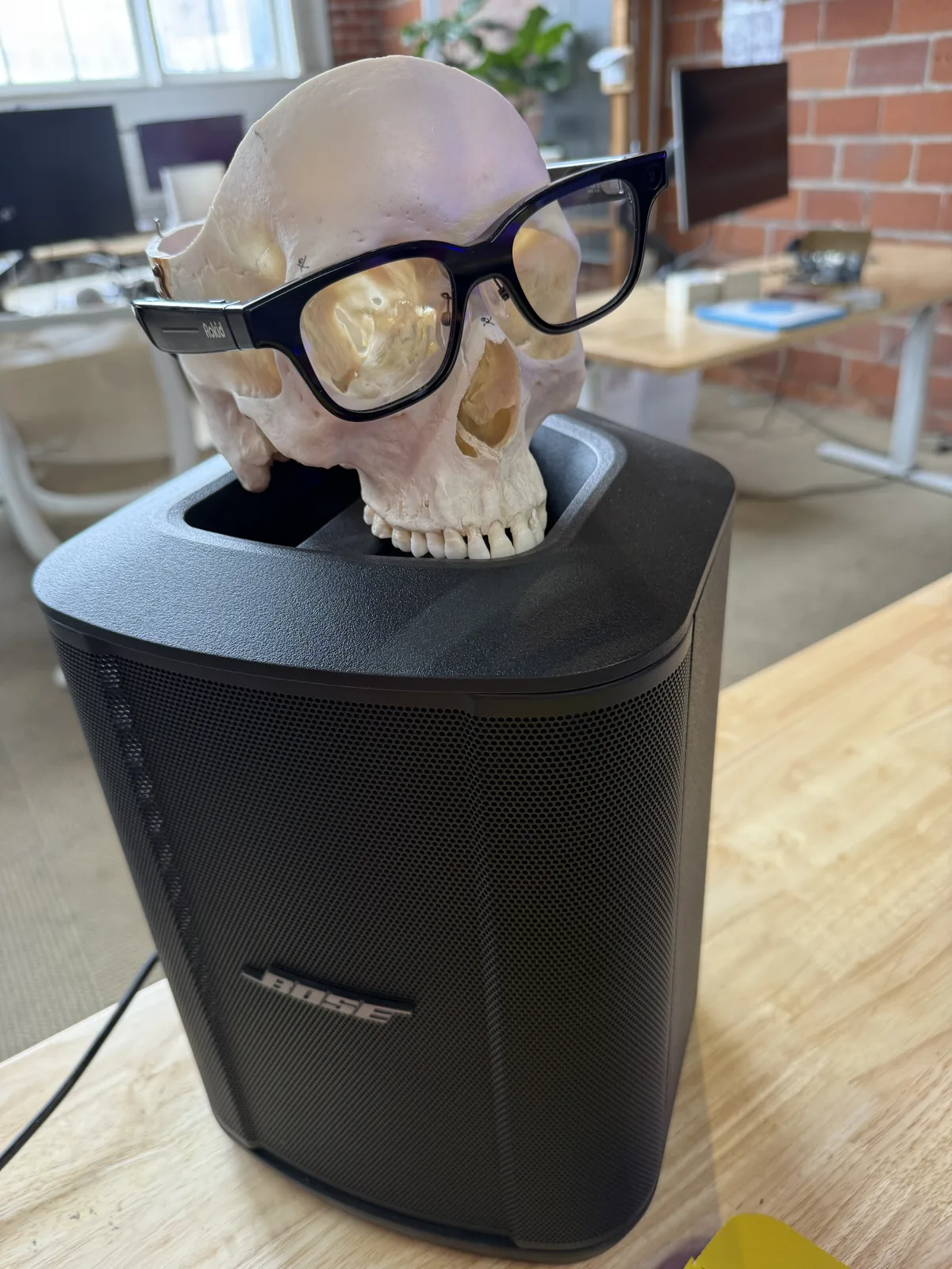 this is a real skull :O (used for abberation testing)